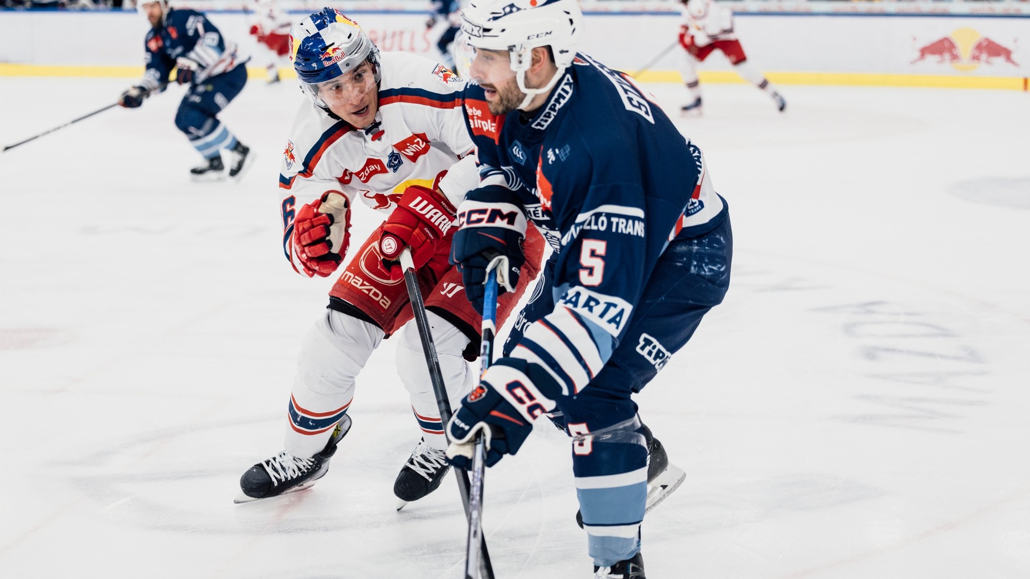 Elsőre a Salzburg győzött